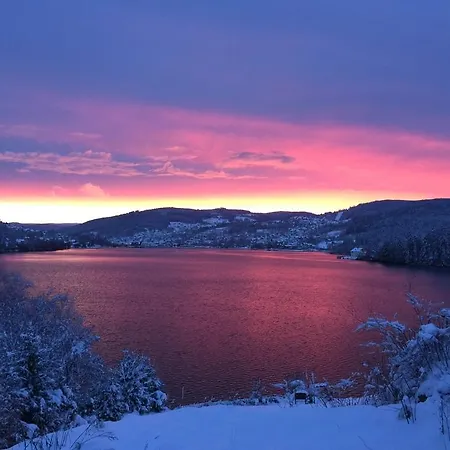 Ξενοδοχείο L'auberge Au Bord Du Gérardmer